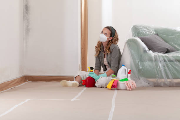 Reliable Mold Remediation contractor in Clayton, GA by 24 Hour Mold Removal